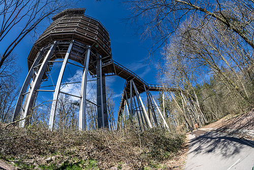 Baumwipfelpfad ... für Lothar