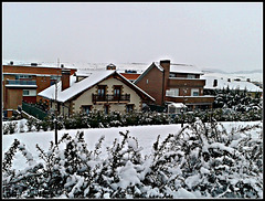 Invierno 7