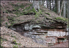 Zisterzienserabtei Himmerod, Eifel 022