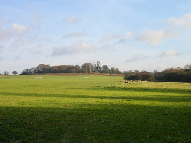 Sports field alongside Hay Head Wood.