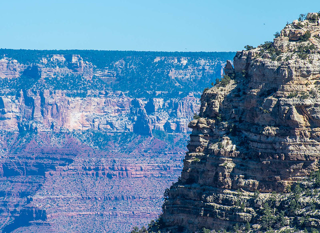 Grand Canyon set 33