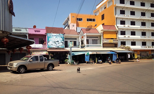 Sous surveillance !  (Laos)