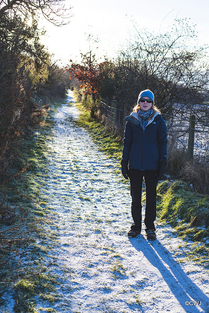 The path to Rafford Woods