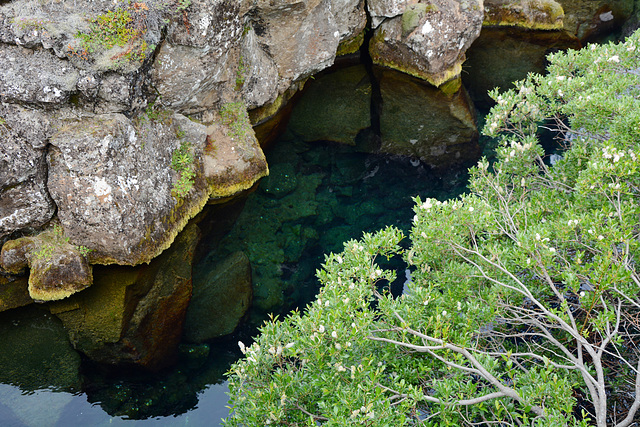 Iceland, Thingvellir National Park, The Boundary between the North American and Eurasian Tectonic Plates Iceland, Thingvellir National Park, The Boundary between the North American and Eurasian Tectonic Plates