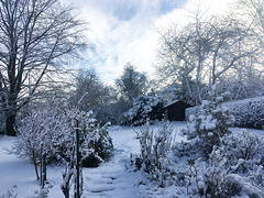 Le jardin sous la neige