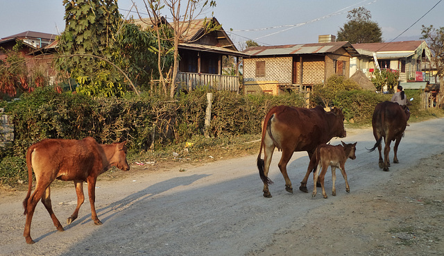 Nyaung Shwe