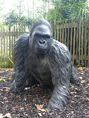 Gorilla Sculpture (1) - 16 October 2015