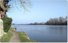 SAINTE GEMMES sur LOIRE - BLUE PLANET/ PLANETE BLEUE