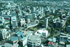 View From The Sky Tower