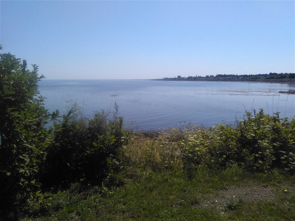 Mer et végétation acadienne / Sea and acadian vegetation