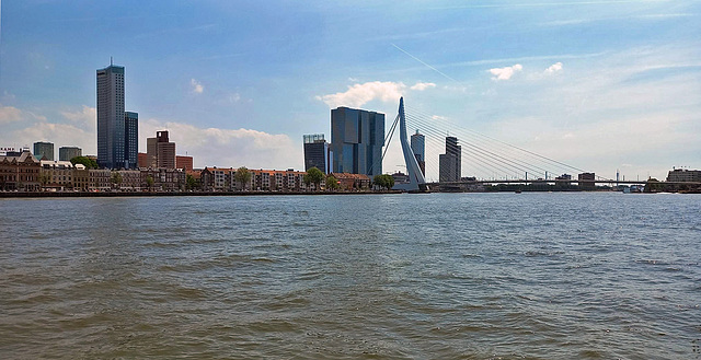 Skyline Rotterdam