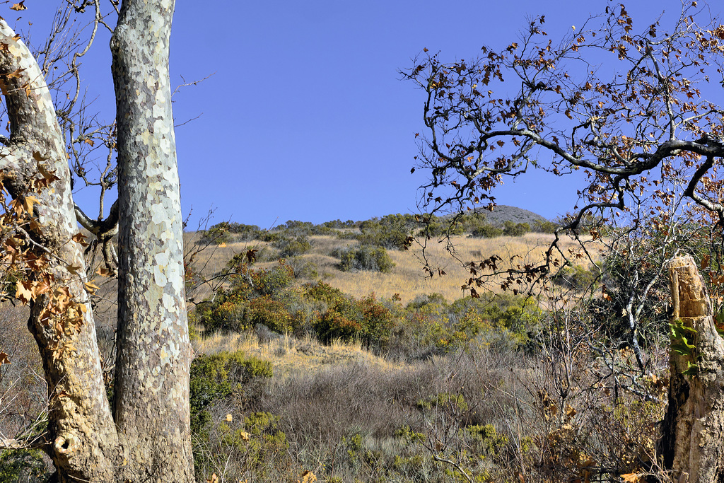 Andrew Molera State Park – Big Sur, Monterey County, California