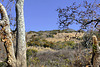 Andrew Molera State Park – Big Sur, Monterey County, California