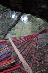 Hammock (1324)