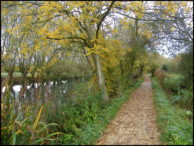 Fiddler's Path in autumn