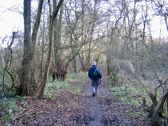 Hay Head Wood