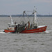 20180404 3508CPw [D~AUR] Fischerboot, Norderney
