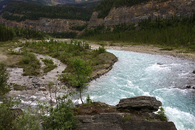 Whitehorn Basin