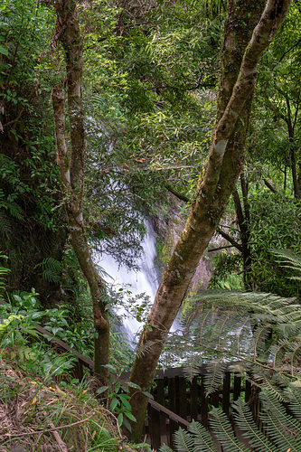 Neuseeland - The Buried Village