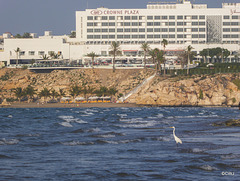 LR-1030970