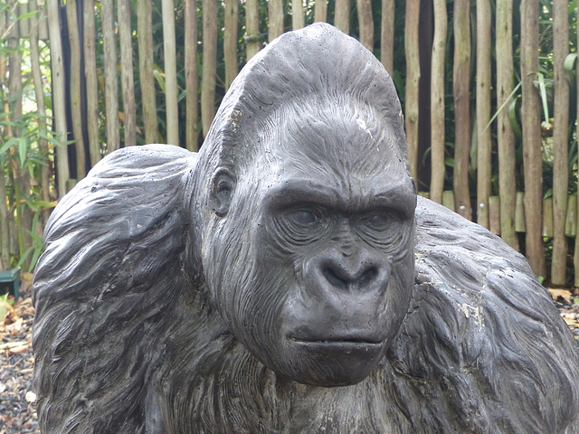 Gorilla Sculpture (3) - 16 October 2015