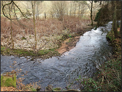 Zisterzienserabtei Himmerod, Eifel 025