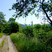 DE - Sinzig - Auf dem Weg nach Bad Bodendorf