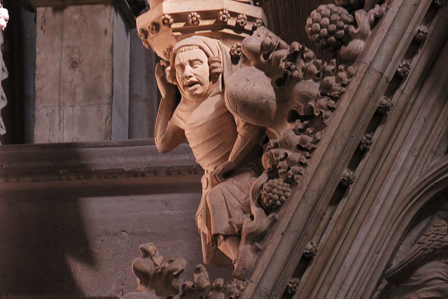 beverley minster, yorks