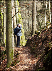 Zisterzienserabtei Himmerod, Eifel 026