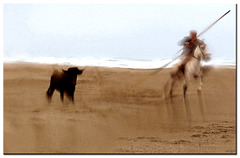 sensations de plage