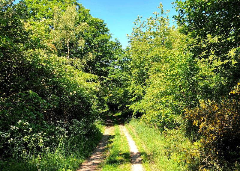 Auf dem Medizinischen Kurwanderweg MK1 Blau