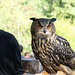 ipernity-Treffen Saarburg - Besuch des Greifvogelparks Saarburg am 12.09.2025 ipernity-Treffen Saarburg - Besuch des Greifvogelparks Saarburg am 12.09.2025