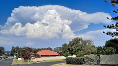 Clouds and fences