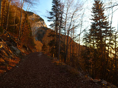 20151111 Rando Vercors Col de Montaud (146) al