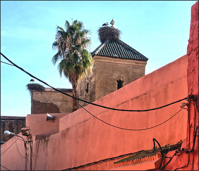 Marrakesch