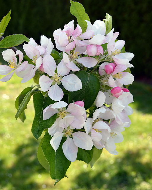 Zarte Frühlingsfarben