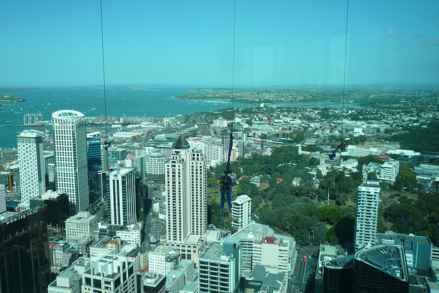 Bungie Jumper Off The Sky Tower