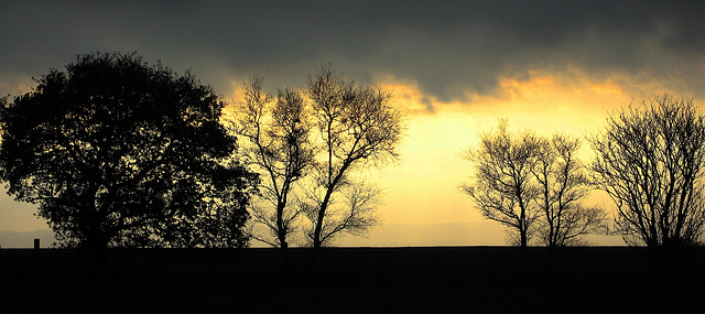 Rural silhouette