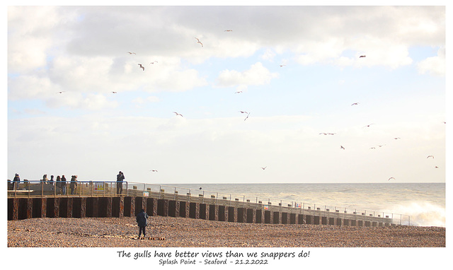 Gulls have better views, Splash Point 21 2 2022