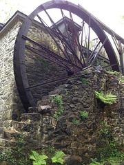 IMG 1712 IMG 1712