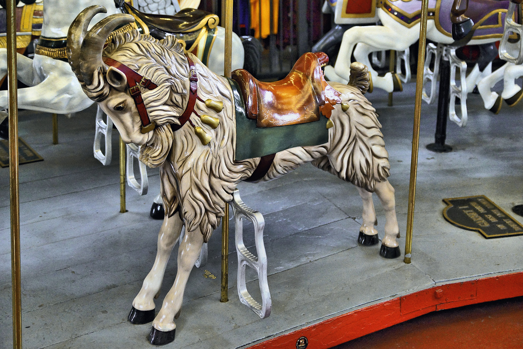 Bucking a Trend – Looff Carousel, Eldridge Park, Elmira, New York