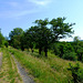 DE - Sinzig - Auf dem Weg nach Bad Bodendorf