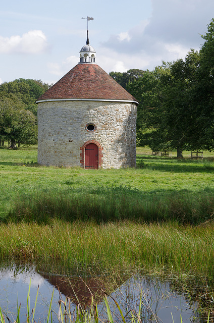 The dovecot