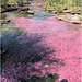 EF7A7434 stitch