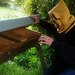 bee hive raid!