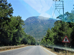 Very mountainous area with large forests