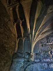 shaftesbury st peter church, dorset , c16 porch vaulting (1)
