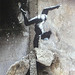 Danseuse à Borodianka (Ukraine 2022) Banksy, expo de Libourne Mai 2023