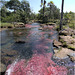 EF7A7444 stitch