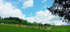 Spring HFF landscape